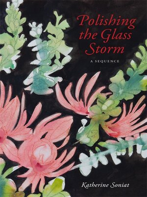 cover image of Polishing the Glass Storm